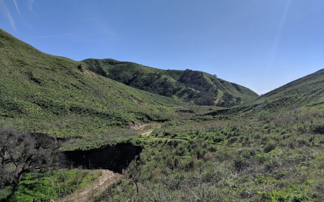 RPL Trail Run and Work Day at Harmon Canyon
