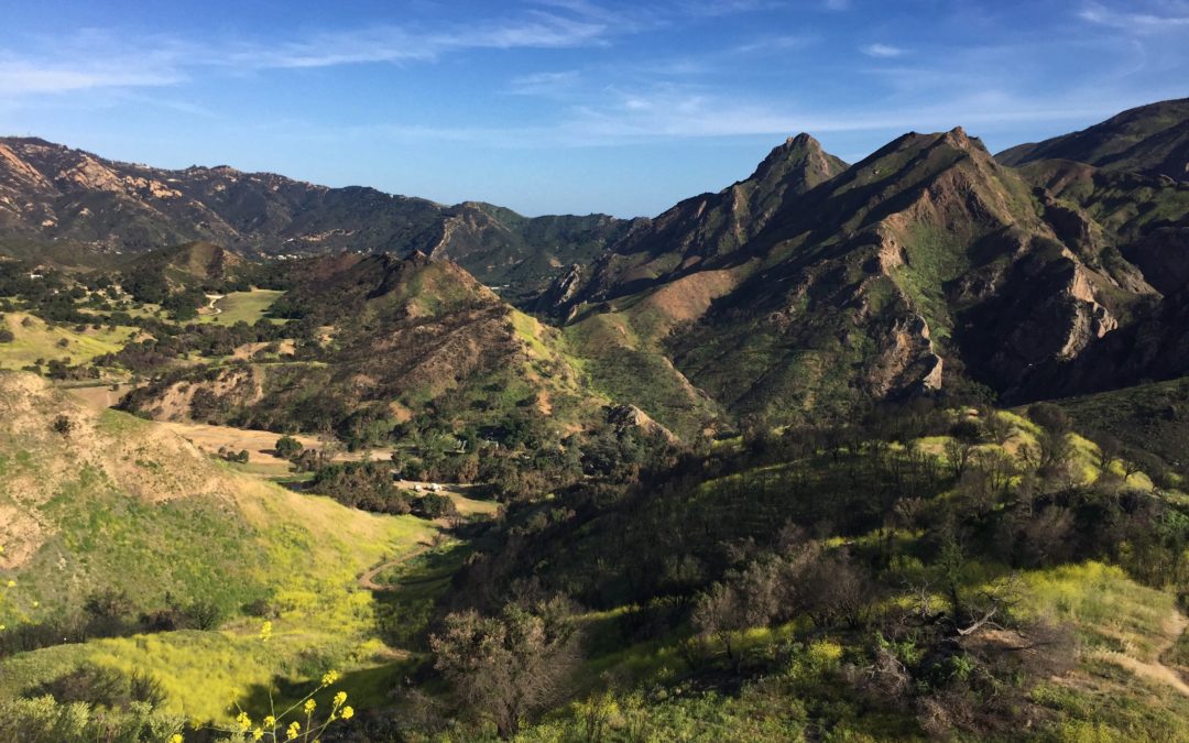 Communities Move Mountains