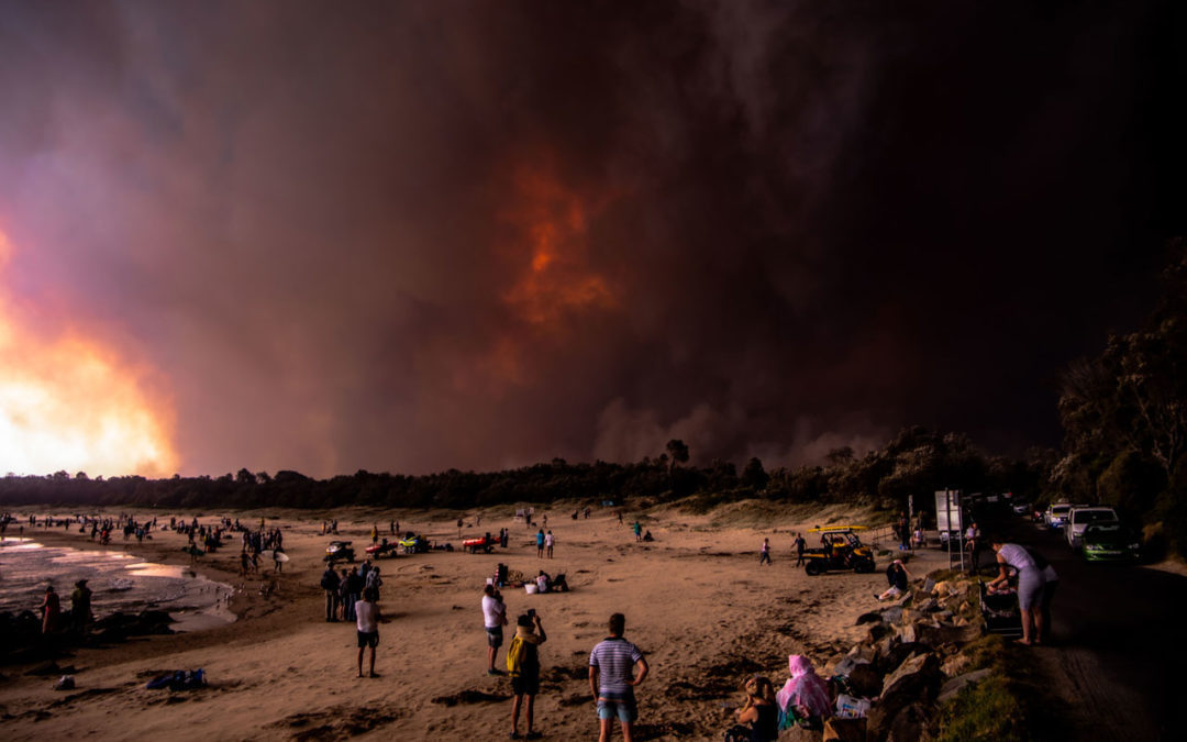 Environmental Advocacy: First-Year Highlights