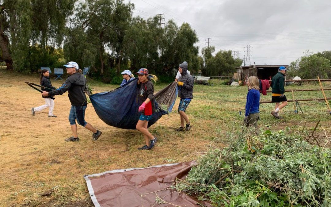 Environmental Stewardship: First-Year Highlights