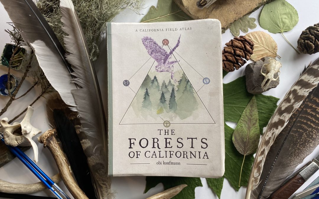 “The Forests of California” with Obi Kaufmann