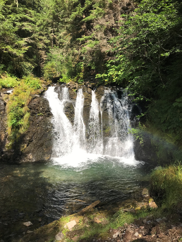 Tongass