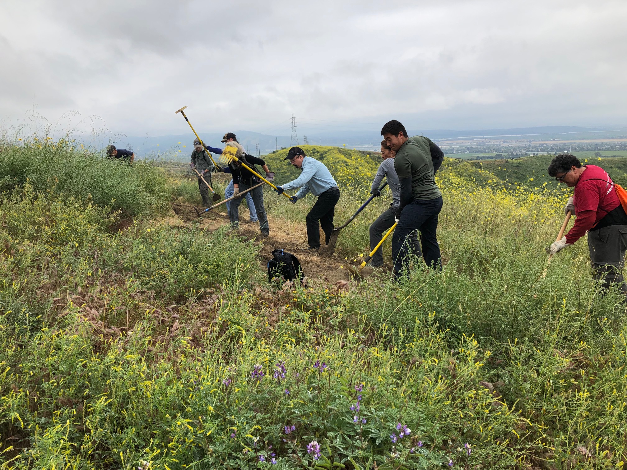 Harmon Canyon Volunteers