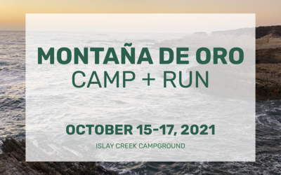 2021 MDO Camp + Run