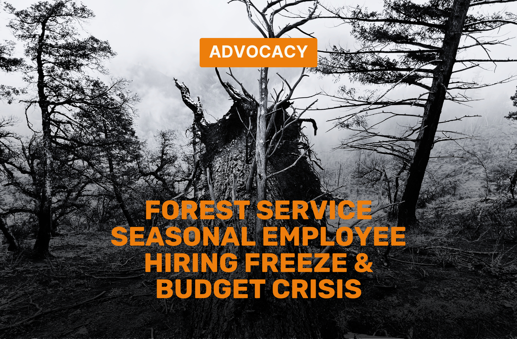 Advocacy: USFS Hiring Freeze and Budget Crisis