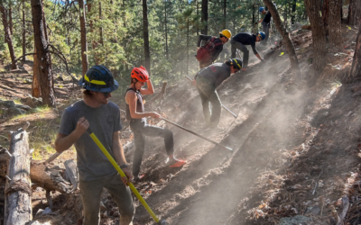 Tell Lawmakers how firing public lands employees impacts runners on public lands