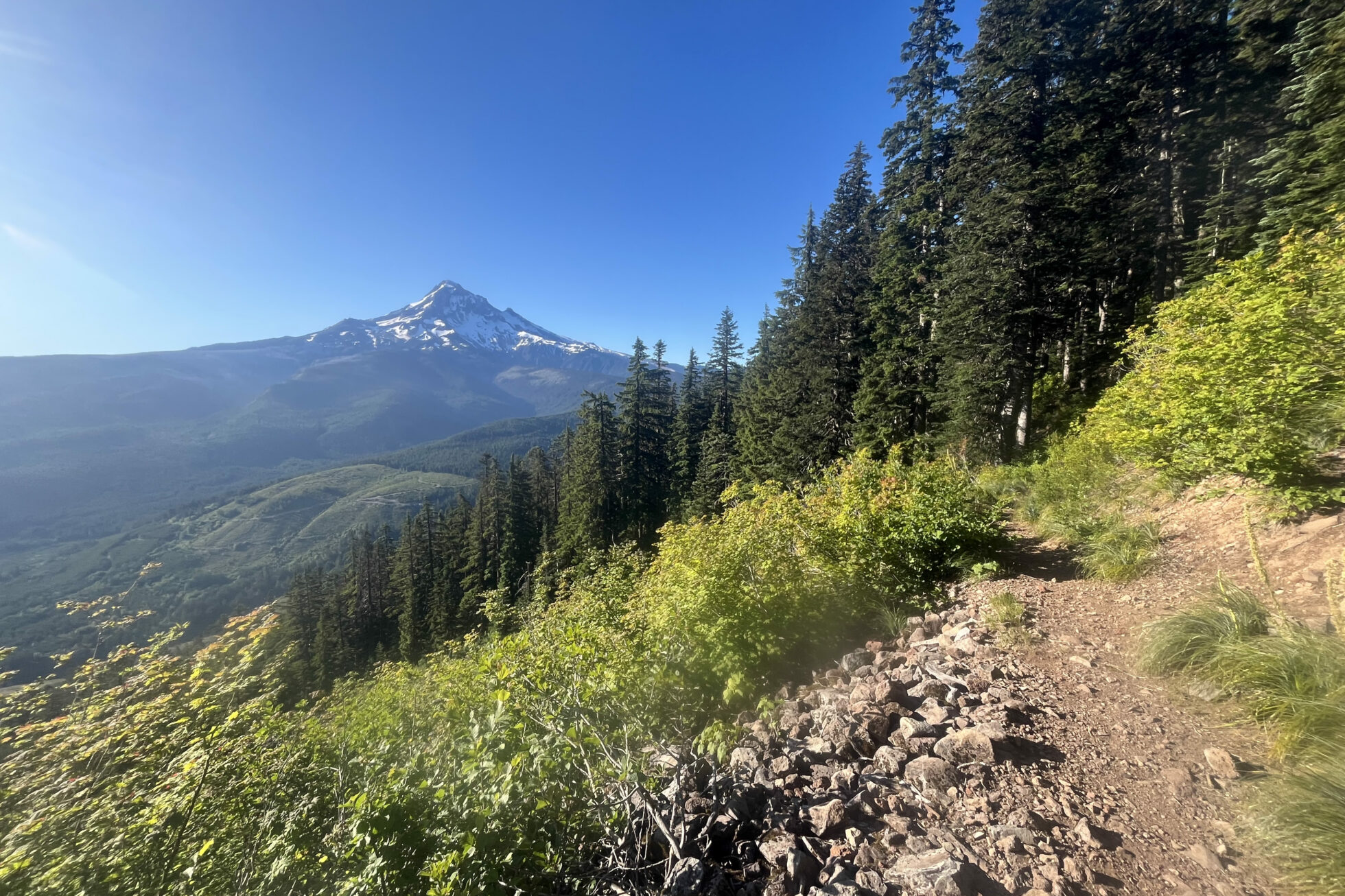 Advocacy Recap: Runners Speak Out for Roadless Areas
