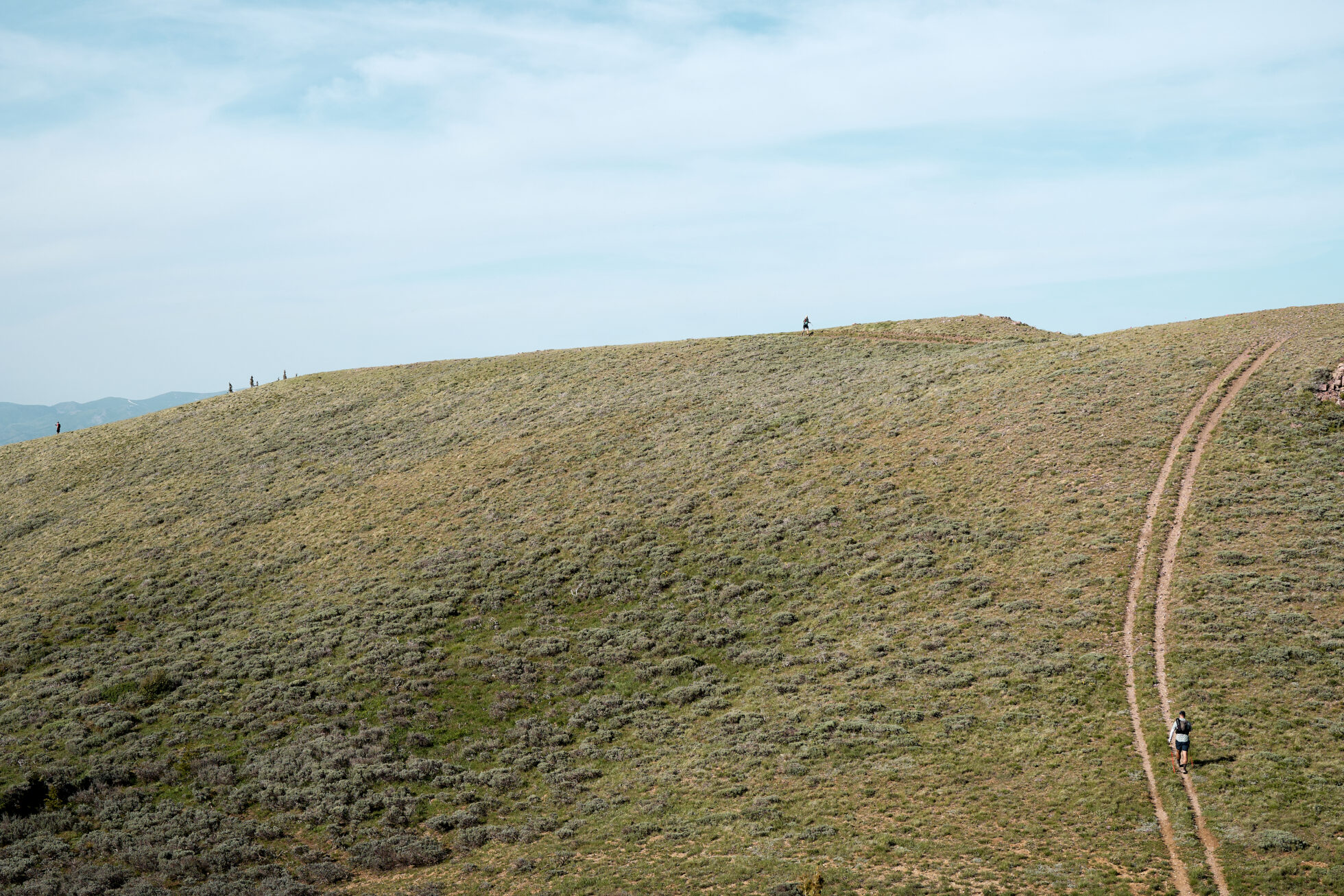 Advocacy Recap: RPL Stands Up for the Public Land Rule