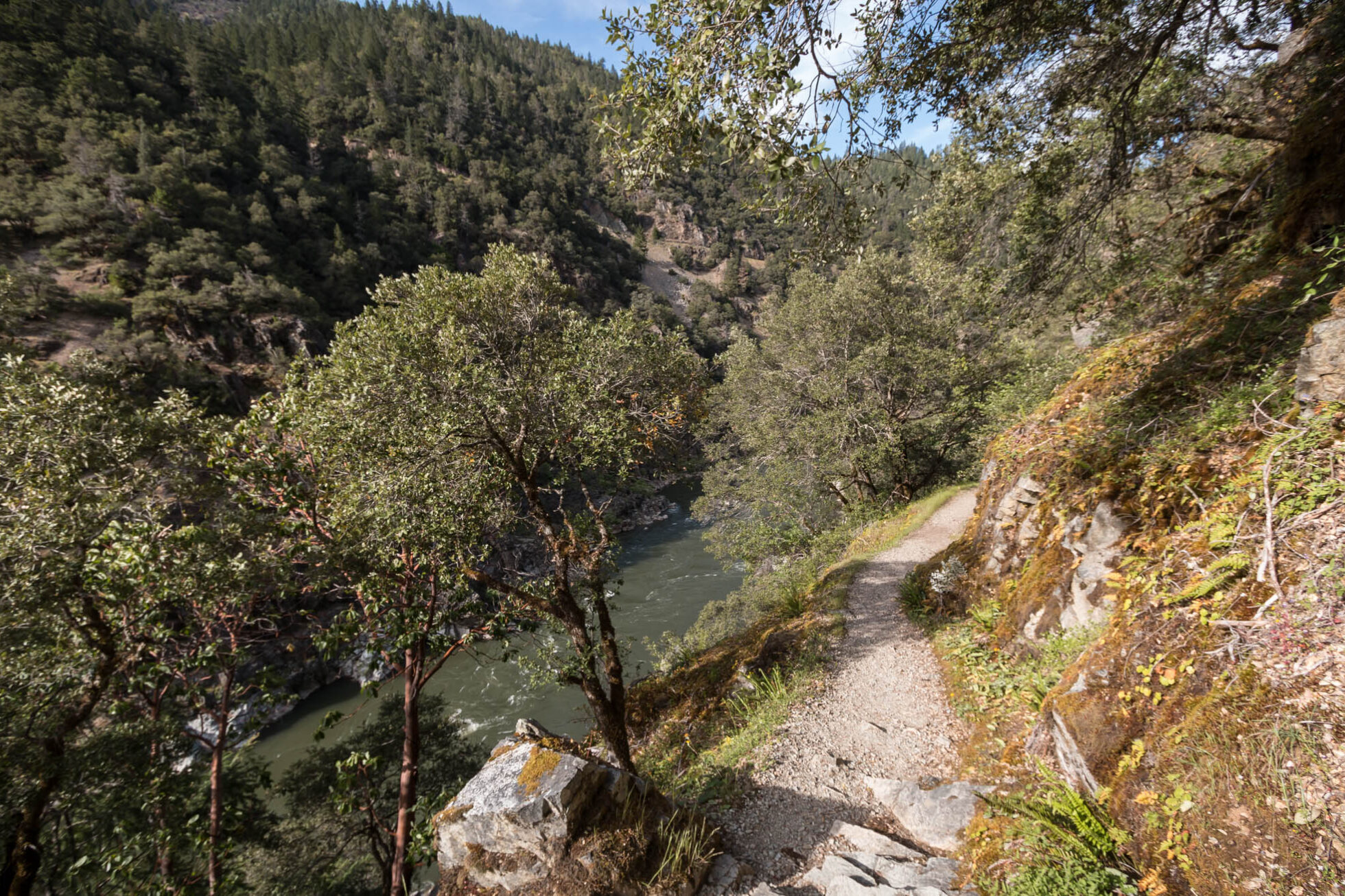 Standing Up for Forested Trails and Landscapes Threatened in Western Oregon