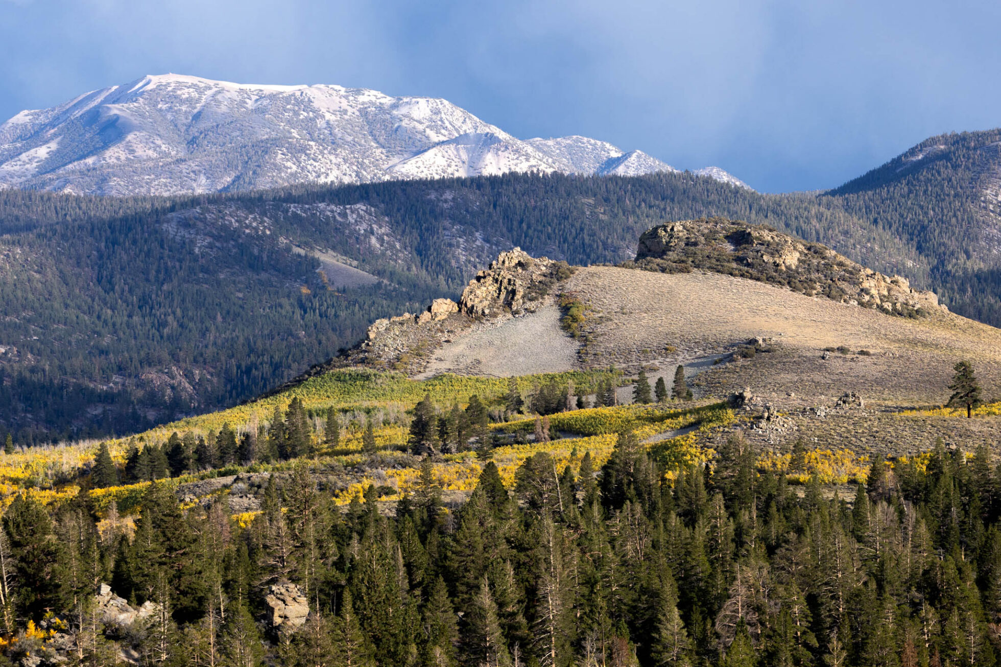 What the Forest Service Reorganization Means for Trail Runners