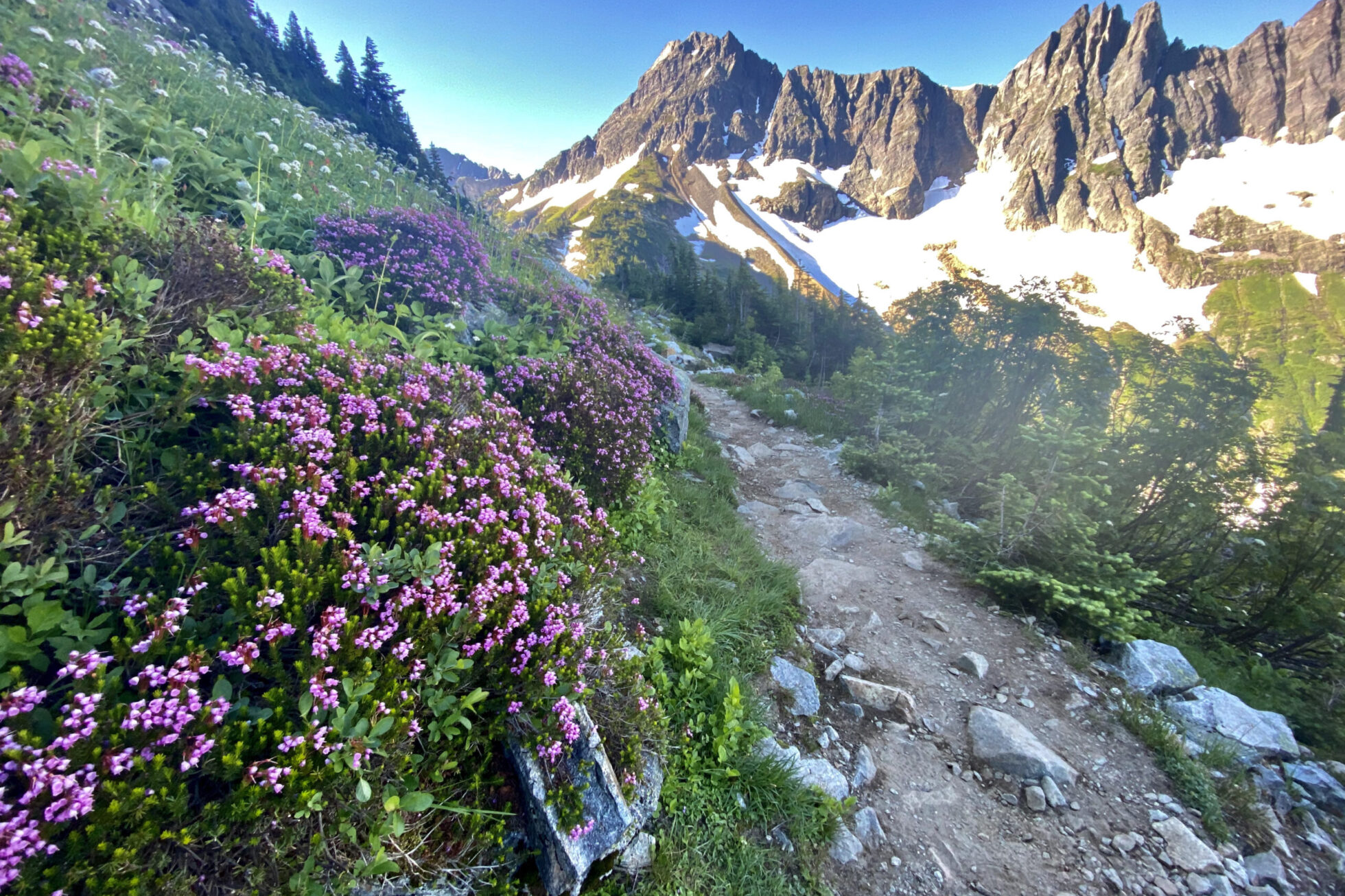Runners, Designated Wilderness, and the Future of Public Lands